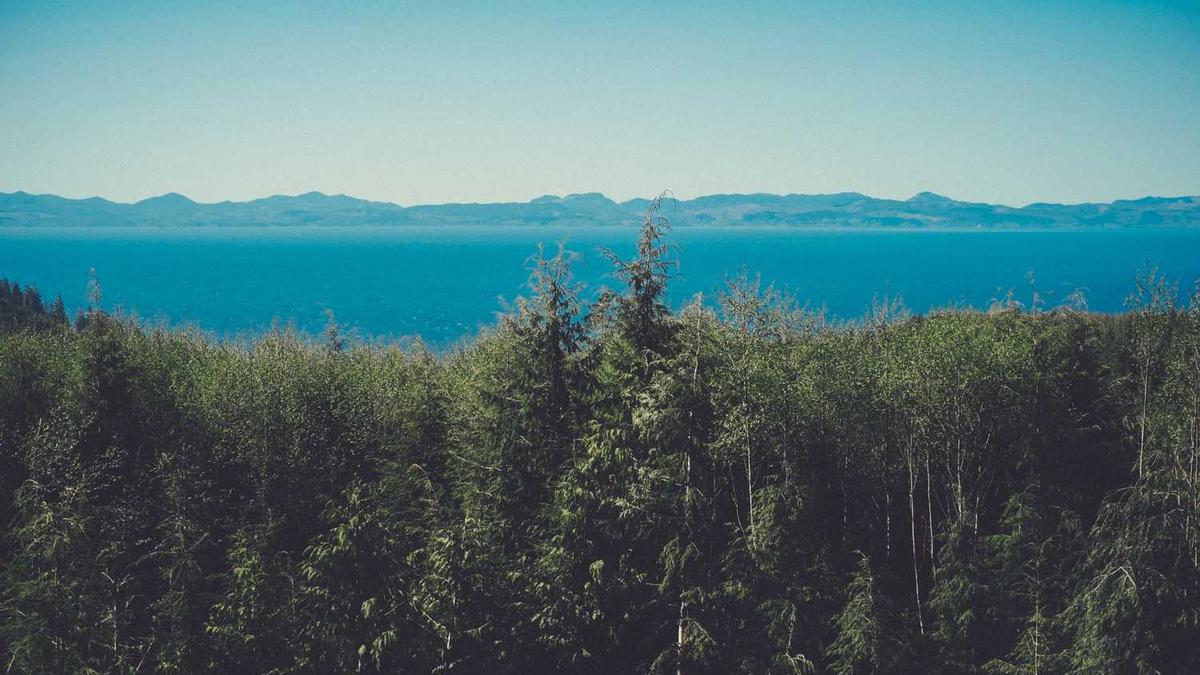 四川宜宾旅游景点有哪些