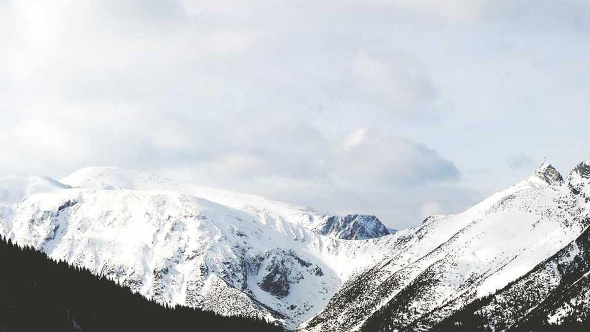 南平市站为什么不叫南平站