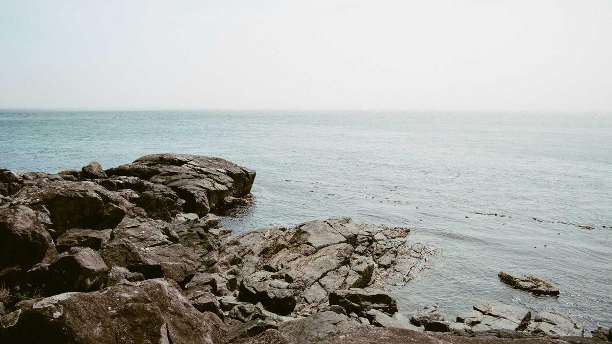 上海哪有正规学中医针灸推拿的培训机构?