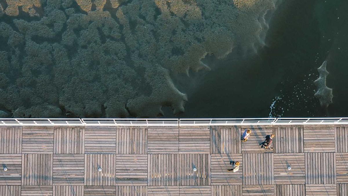 毕节酒为什么卖不动