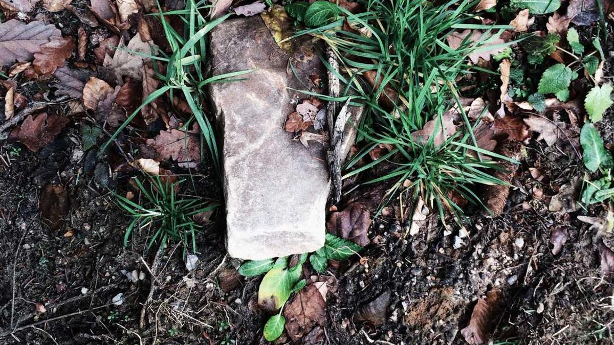 藤县沙洲风景区介绍