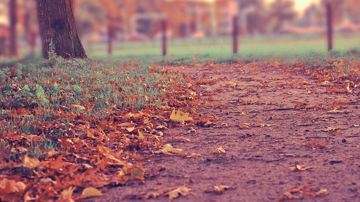 男朋友坦白以前嫖过娼?