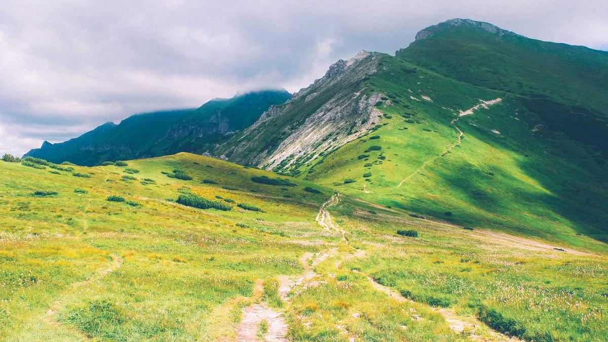 鄂尔多斯最厉害三个集团