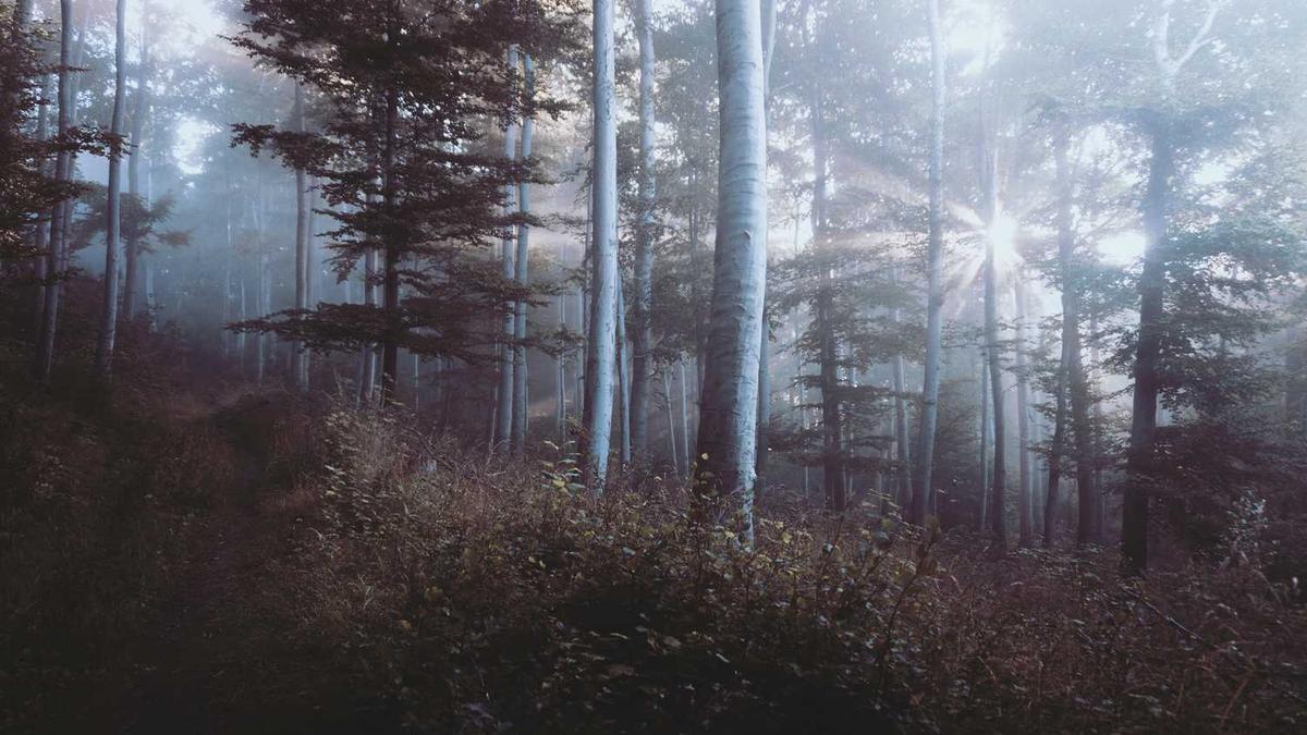 马鞍山师范高等专科学校怎么样