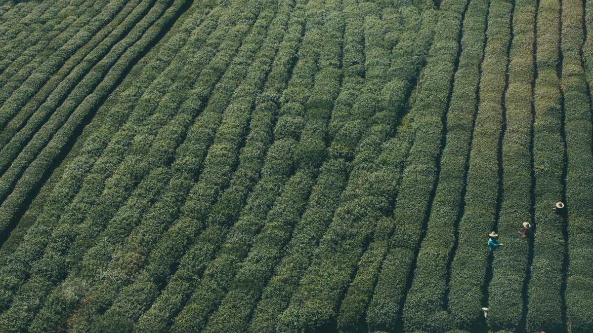 江西宜春属于哪个市