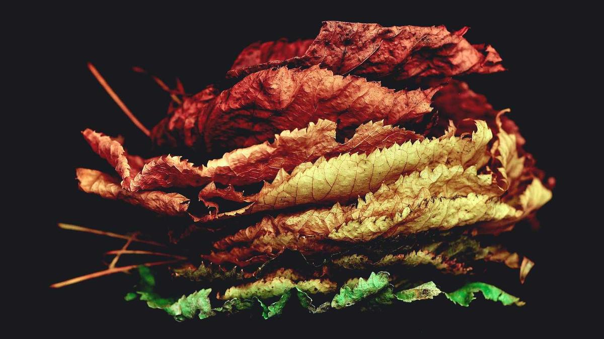 你家和单位在哪个街道?来看看最新版杭州区划高清地图