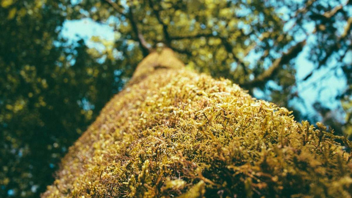 三亚有哪些好玩的地方