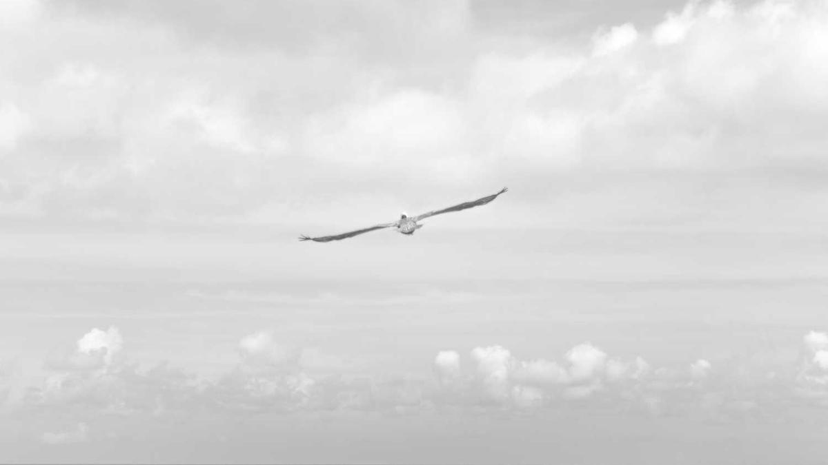 东营市新时代文明实践志愿服务网如何上传志愿服务