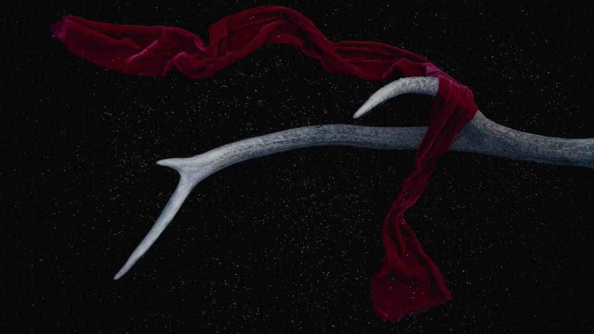 额尔多斯是哪个省的城市