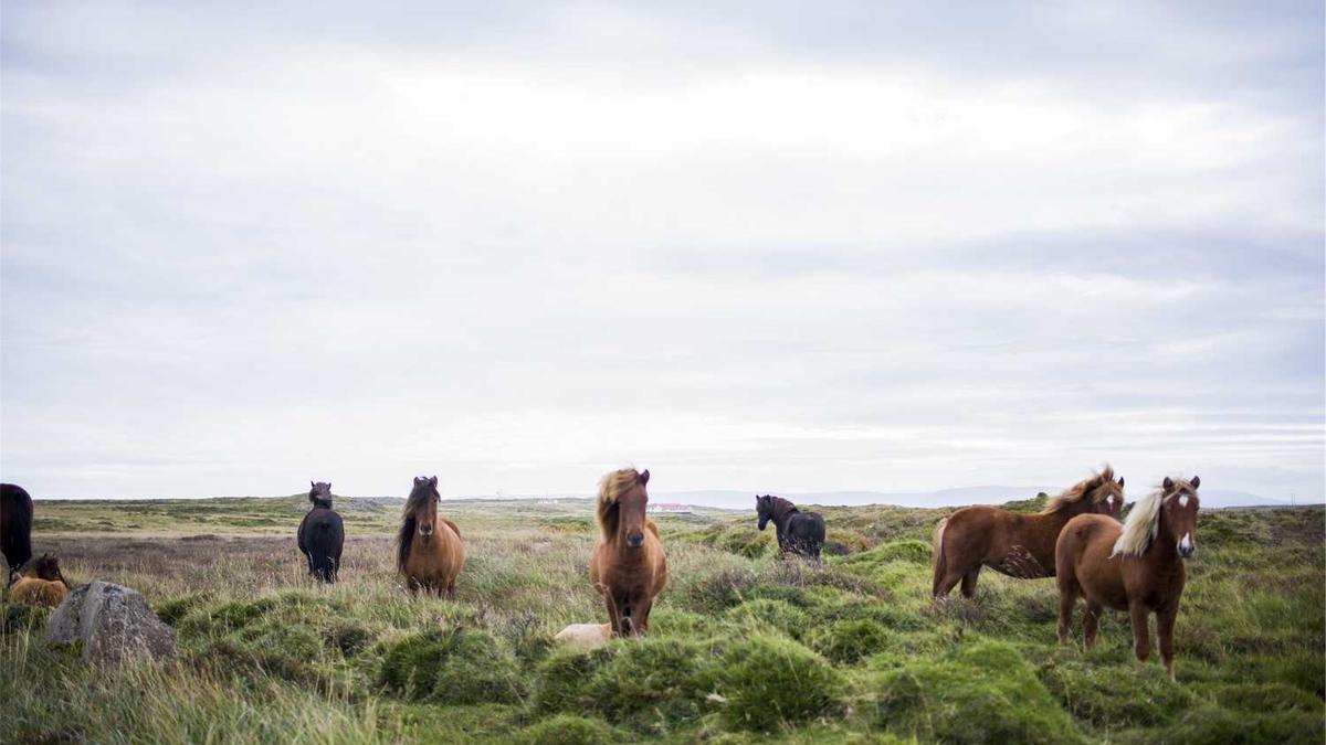 葫芦岛公交车15路时刻表查询