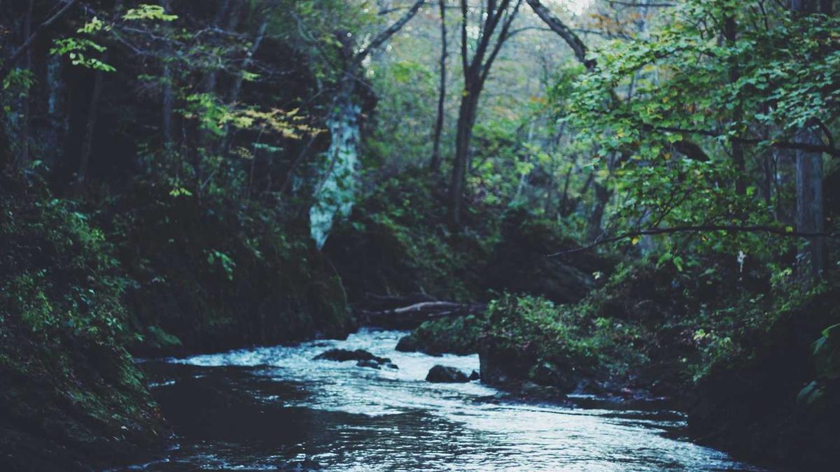 7月14日起3条公交线路调整