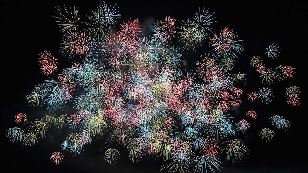 大雁为什么排成人字和一字