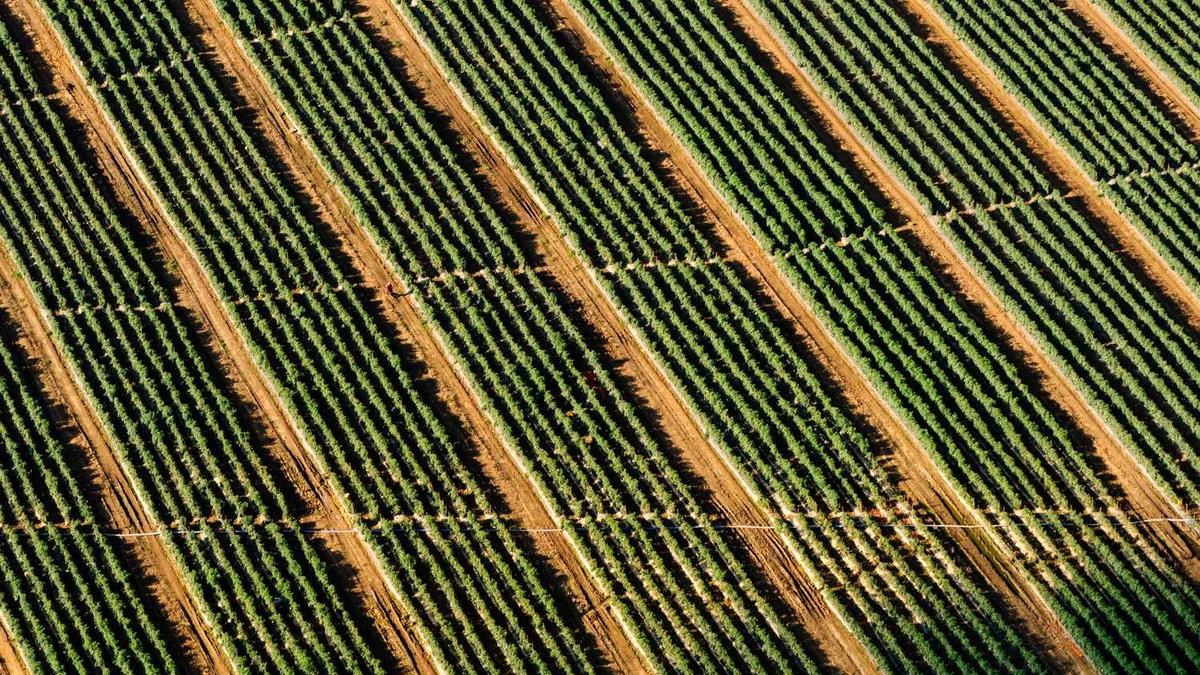 鄂尔多斯喷泉表演时间