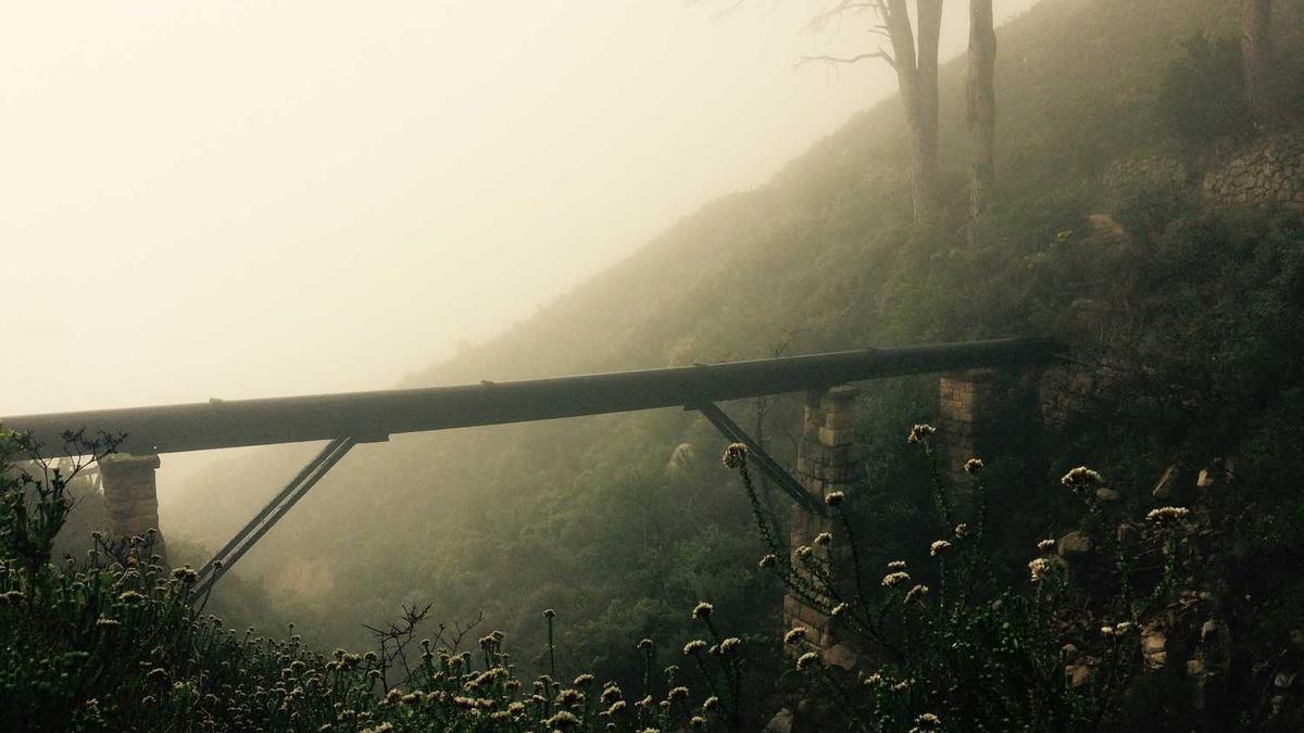 出口到保税区是否退税?