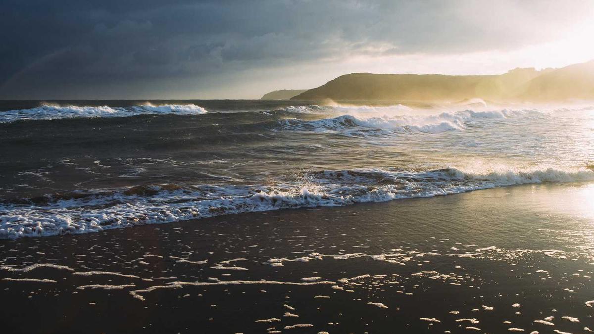 刘金生的个人履历