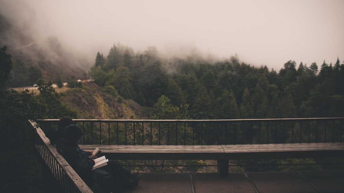 东莞发布楼市调控新政,其他城市会跟进吗?