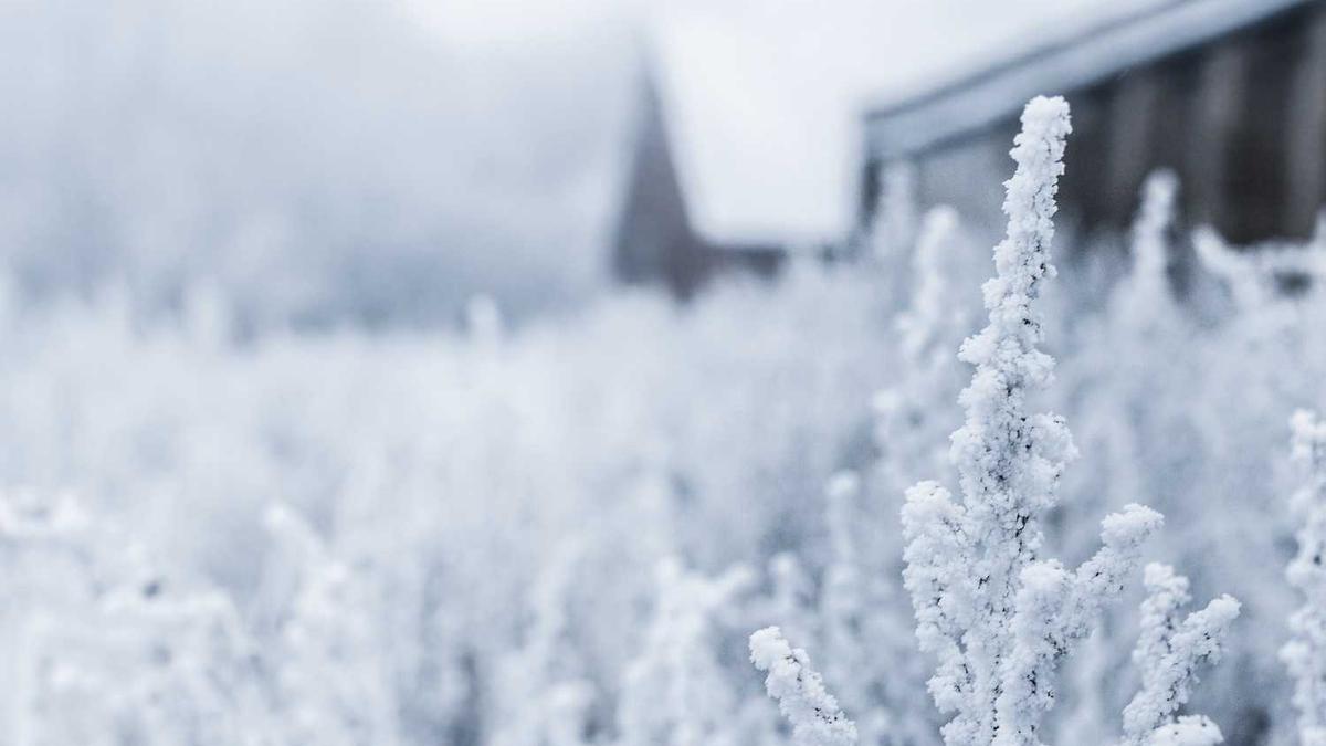 2025热播电视剧排行榜前十名