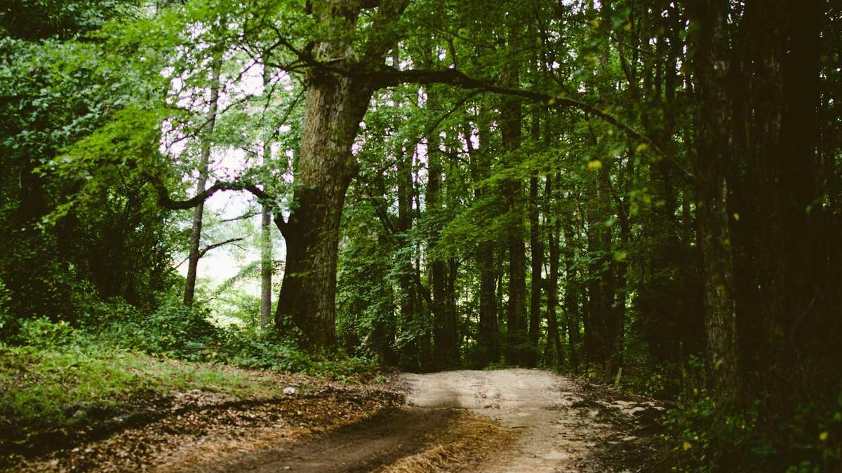 上海浦东新区中心村大道有外卖嘛