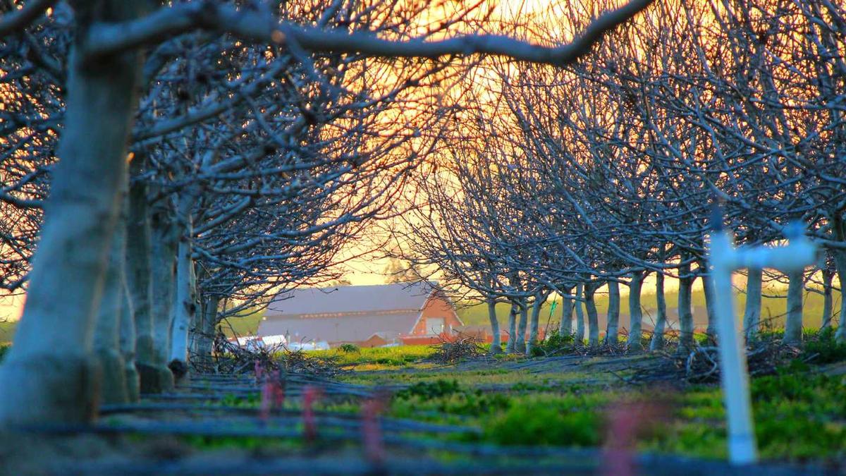 郑州用什么软件乘车优惠最大