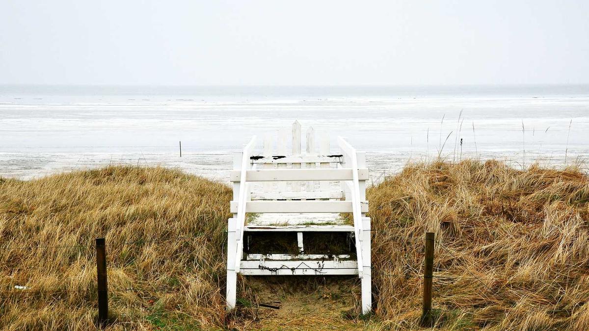 关于杨振宁的生平事迹