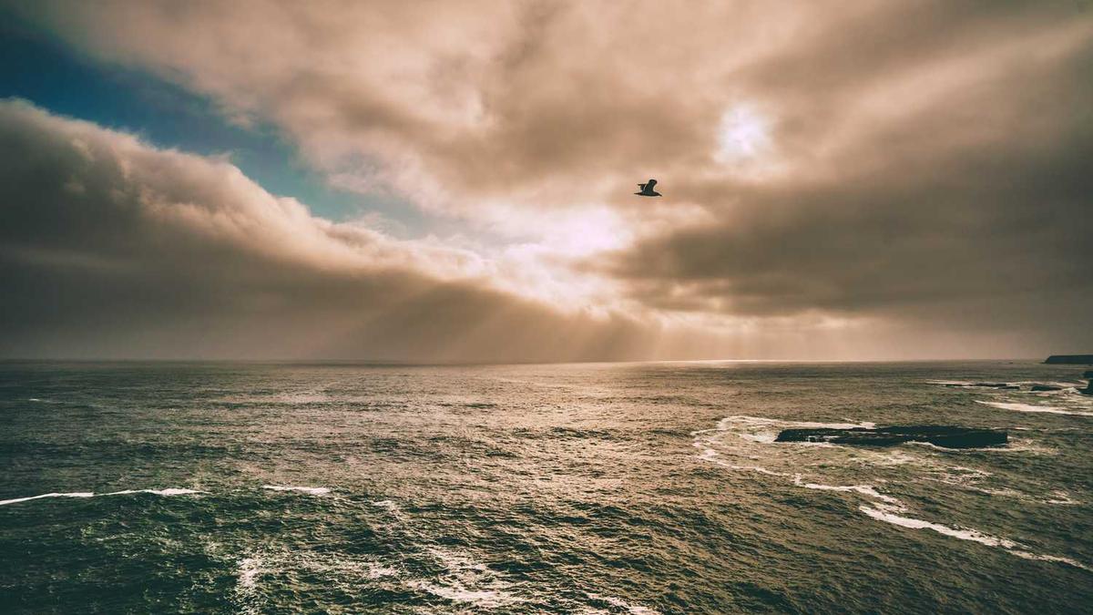 益阳市救助站上班做什么