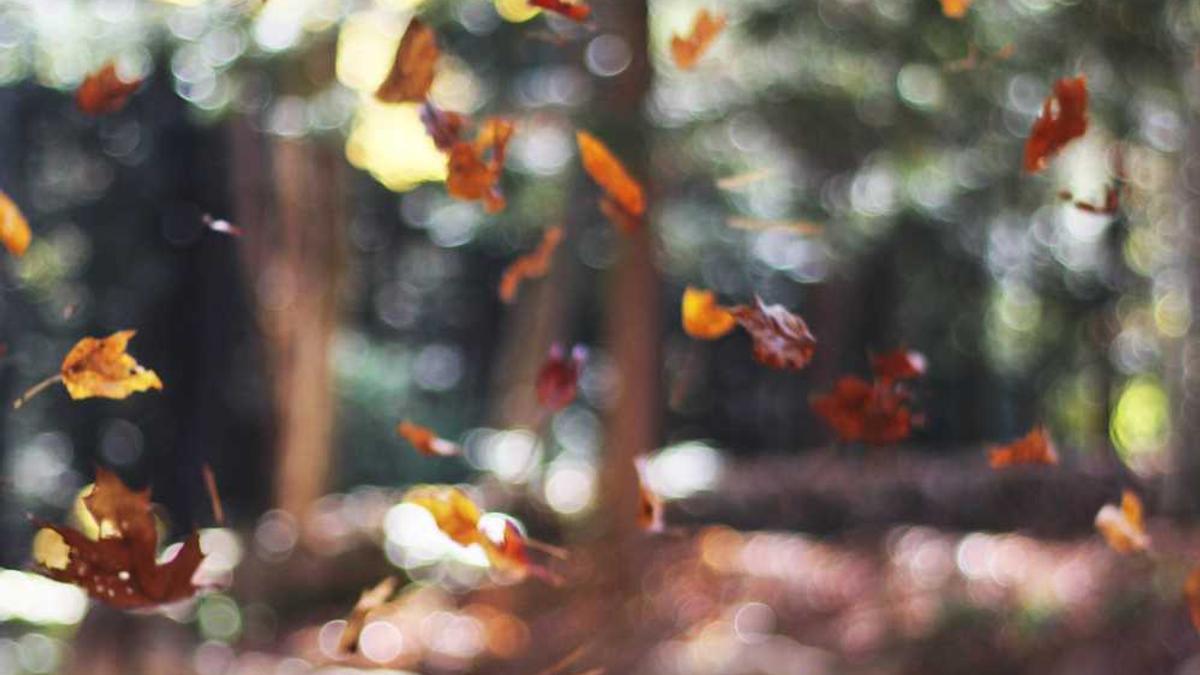 执业药师被药监局发现挂靠怎么办