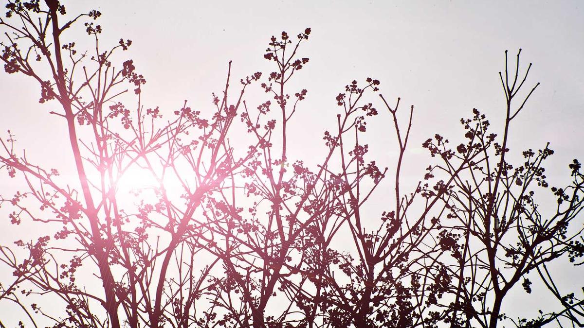 全国目前不能去的城市