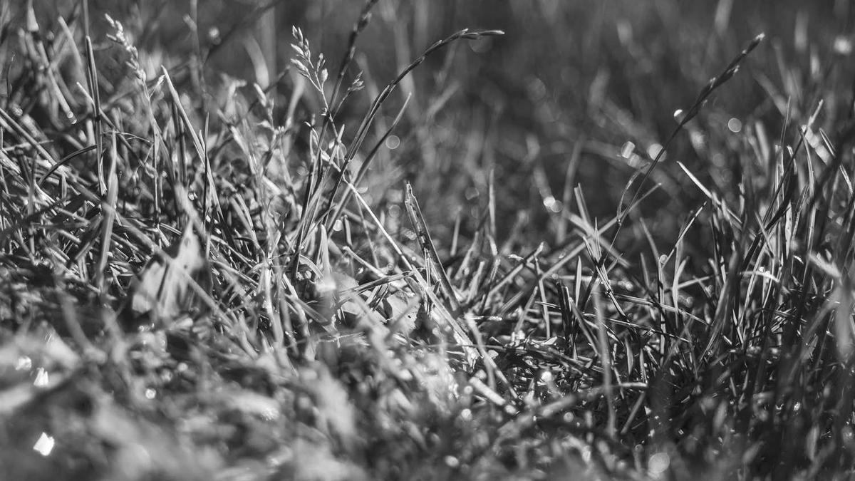 上饶市政府办公厅内设机构