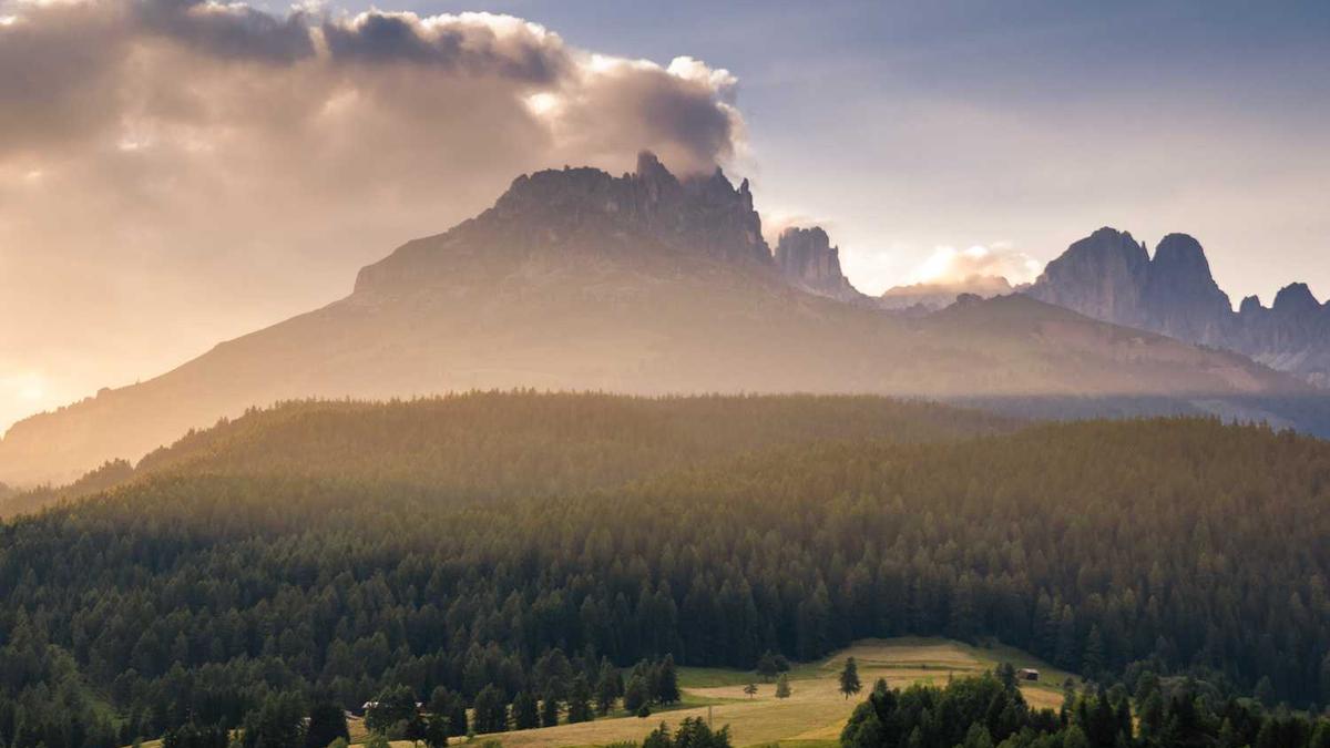 大街上网吧厕所贴的同城服务真的假的