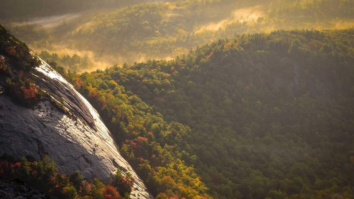 中数汇财注册地址在哪里