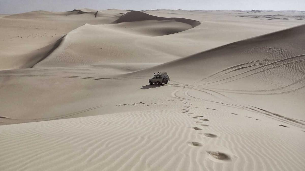 把握缩量调整中可能的弱反弹机会!