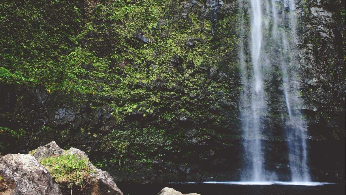 来宾市人民医院基本情况