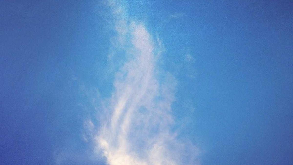 002594股票最新消息