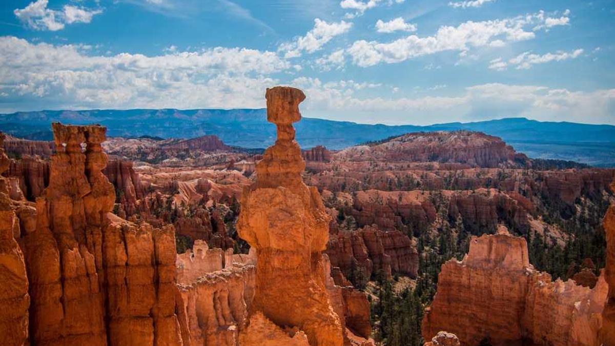 保山海拔多少米