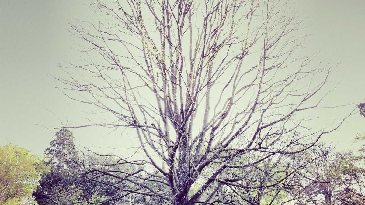 阳江天气预报查询一周