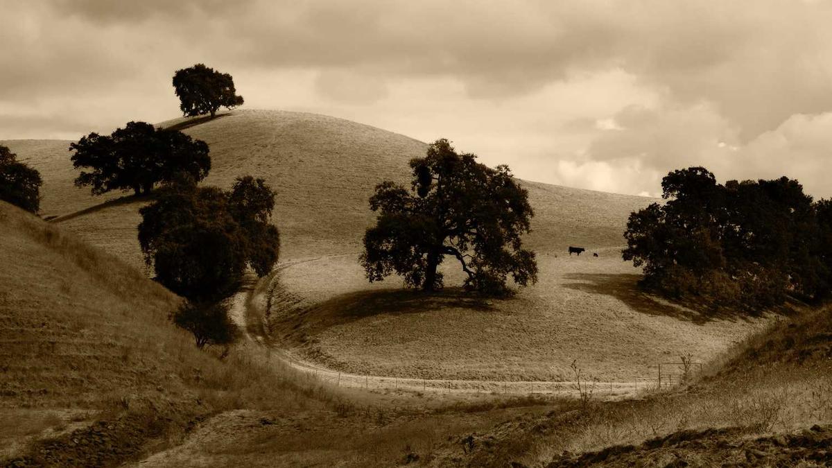 邵阳市中心医院特色科室