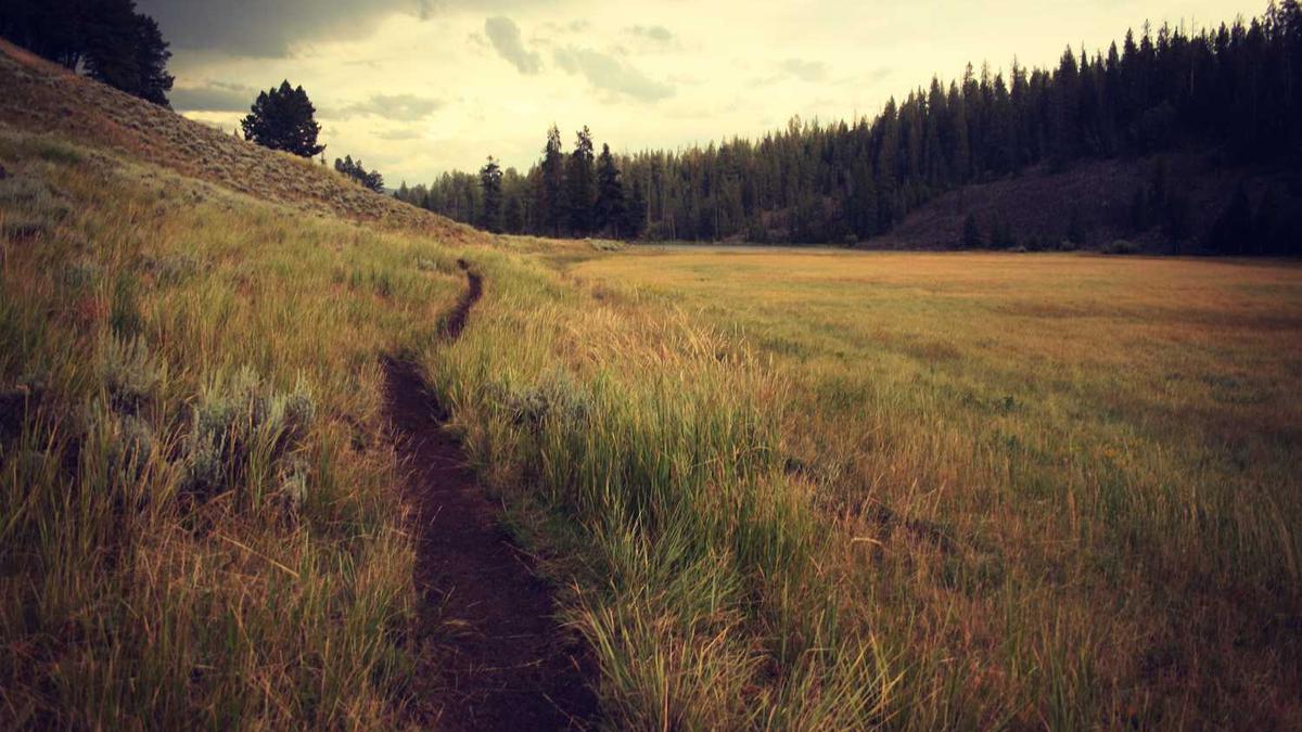 邵阳哪个医院骨科好