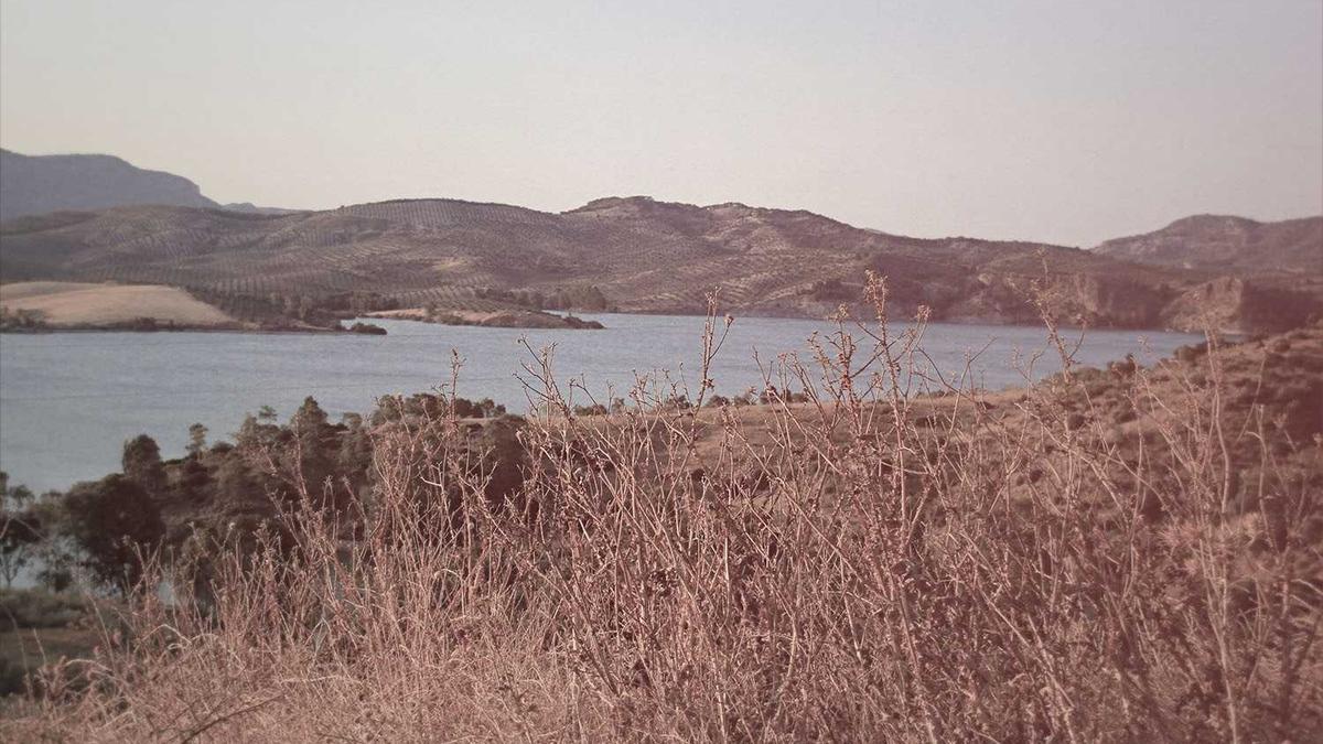 发展形势类排比句40例