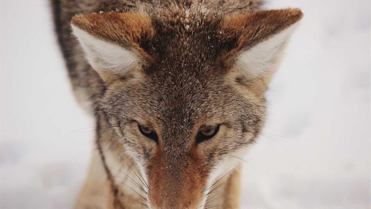 收购音响设备的店家
