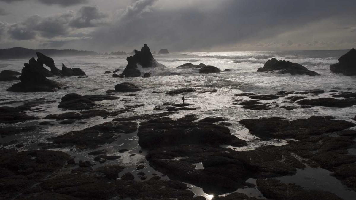 lmf音乐节门票怎么买?