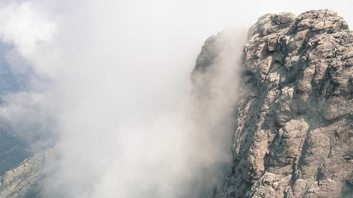 众信麦998小麦麦种在潍坊能种吗,一亩地下多少斤种子