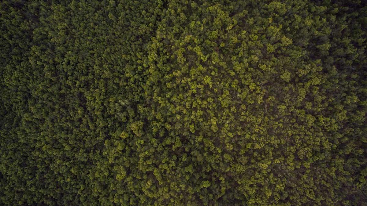 “烟花三月去扬州”的“贵阳五日游线路”旅游推介会在京举行