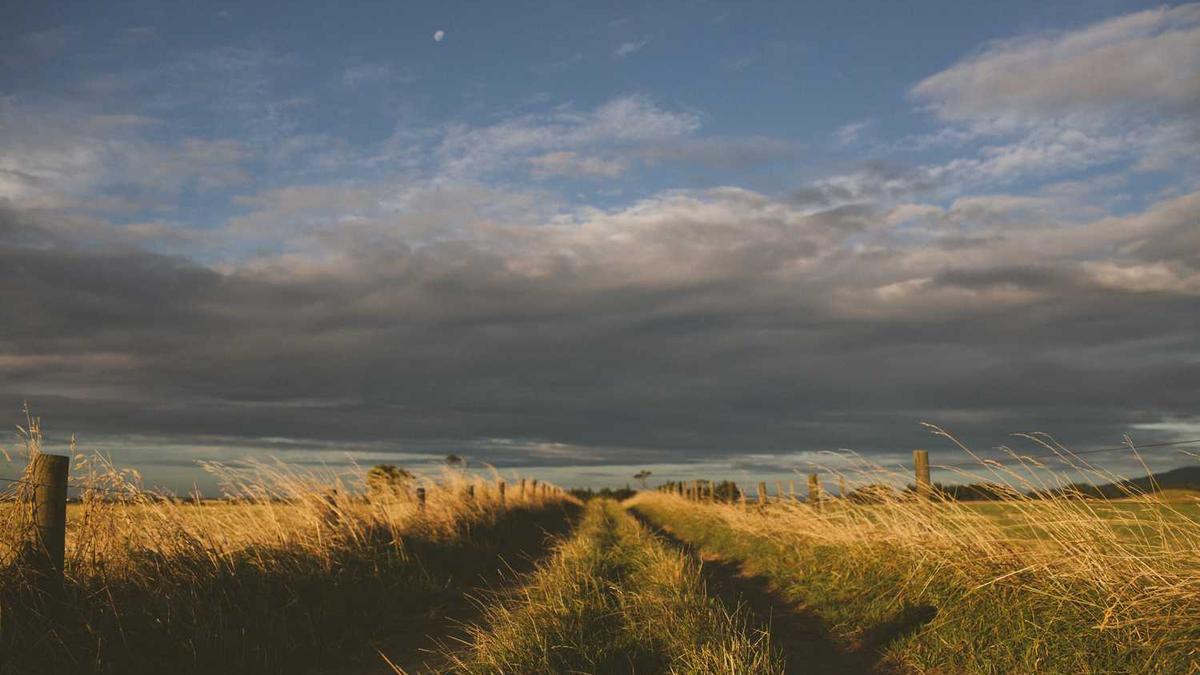 广东农湾科技有限公司现状