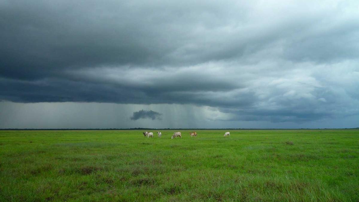 2025年临沂市公安机关第三季度招录警务辅助人员简章