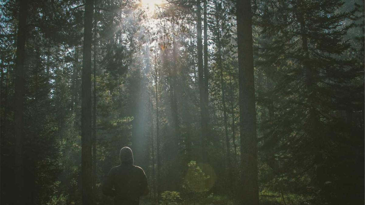 男士SPA养生馆都有什么服务项目?