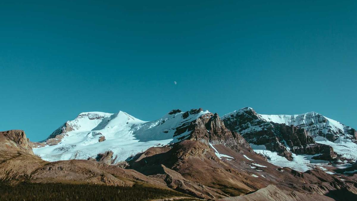 体考72分可以填哪些学校