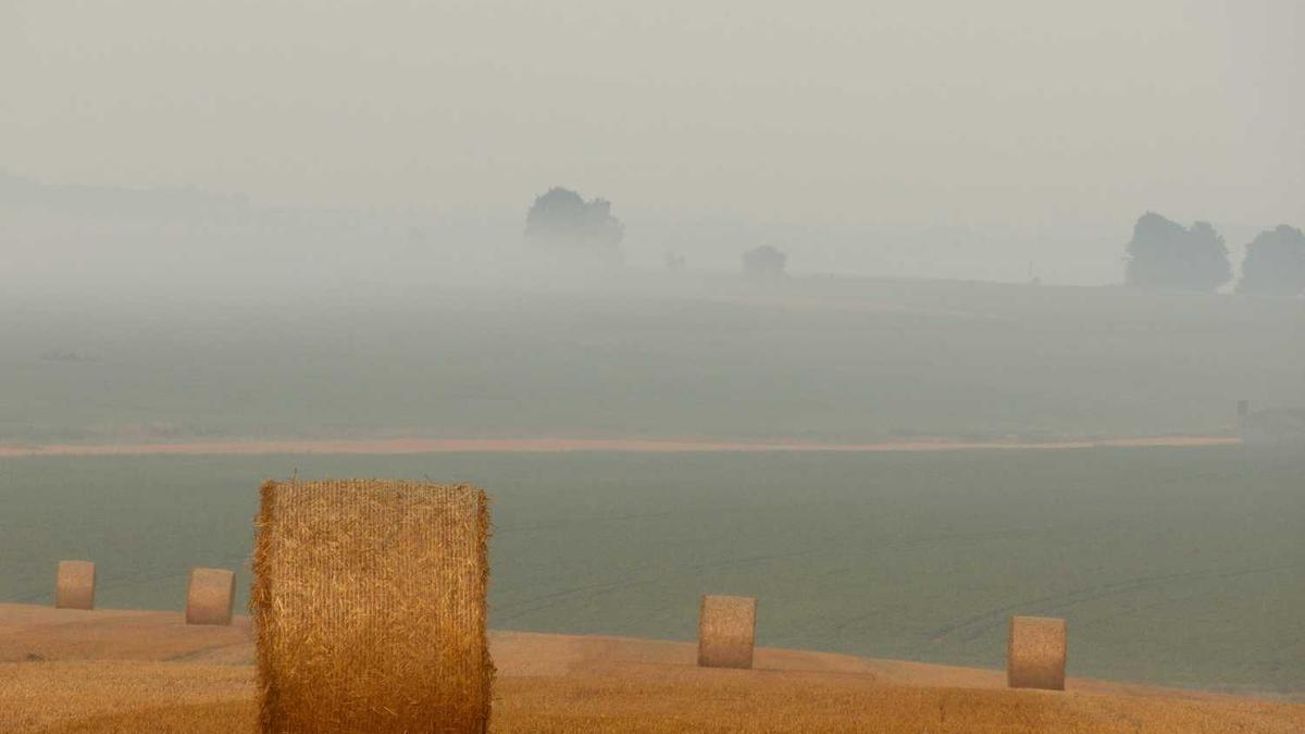 常州必买十大特产