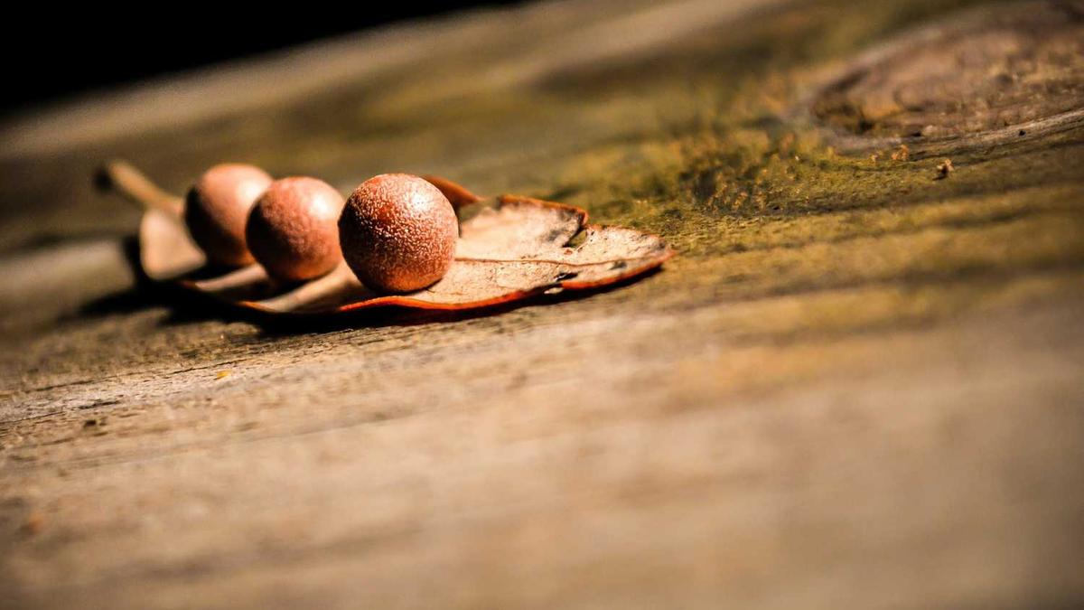 黄石理工学院全日制怎么样