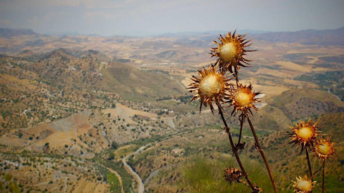 本溪暖气什么时候供暖