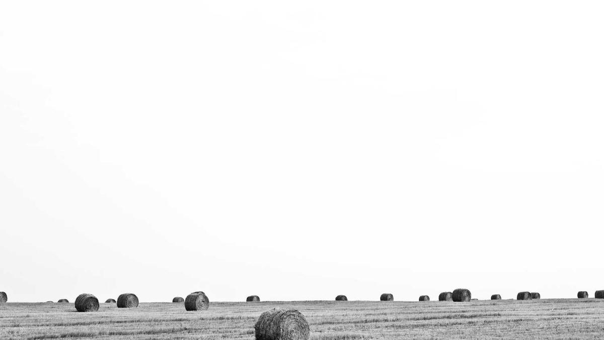 从洛阳出发到青岛自驾,怎么走,因为一人开车,中间到哪里休息更合适,最...
